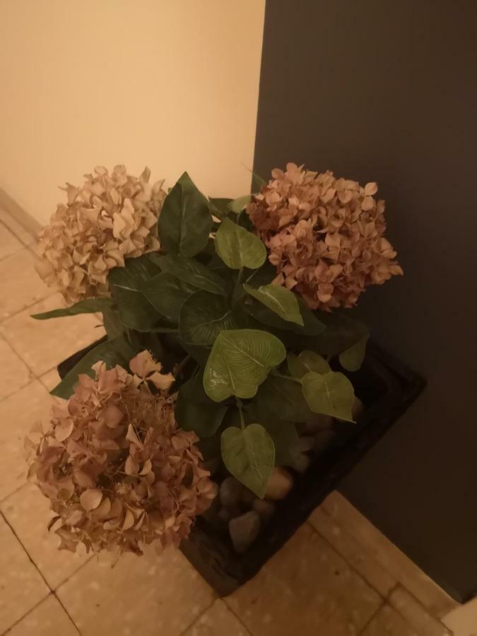 Appartement Apartman Mera à Zadar Extérieur photo